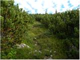 Planina Ravne - Kocbekov dom na Korošici